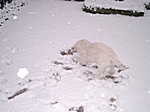 mein erster Schnee