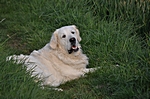 Verschnaufpause